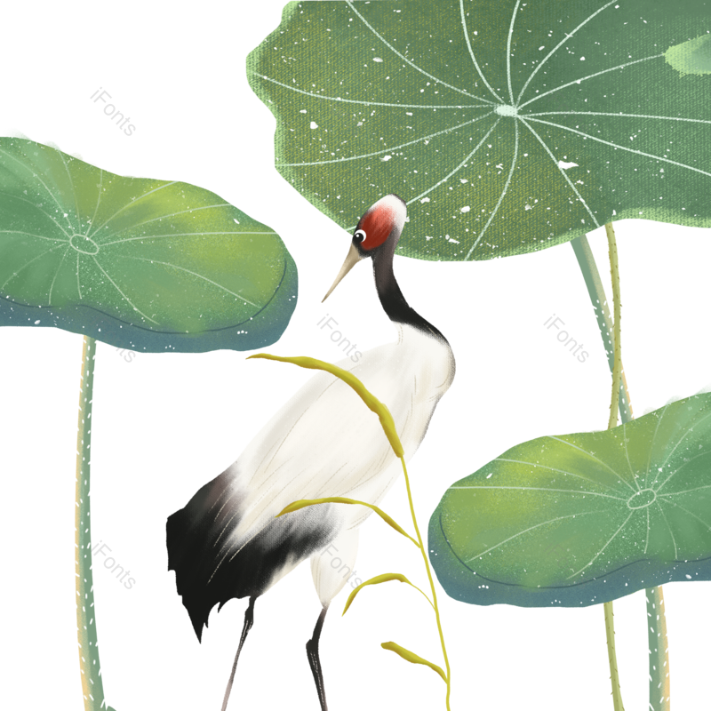 仙鹤图片,夏日元素,飞鸟PNG,荷叶免抠素材